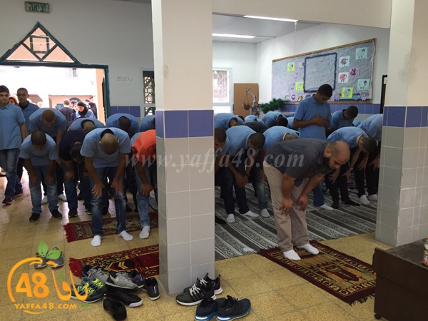 shamela salah dohr (4).jpg